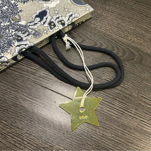 Dior Paper Bag - Picture 10 of 10